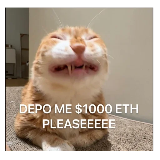 Sticker sansanmaoer - 1