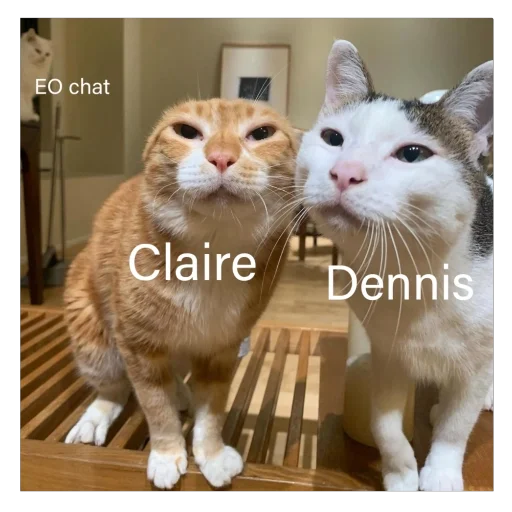 Стикер sansanmaoer - 1