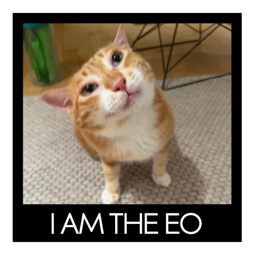 Sticker sansanmaoer - 1