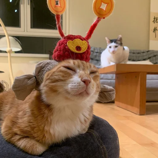 Sticker sansanmaoer - 1