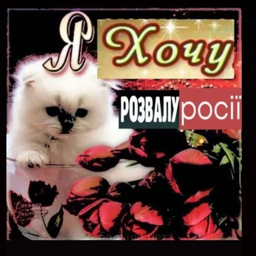 Sticker sanyaprod - 1