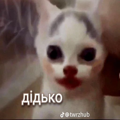 Sticker sanyaprod - 1