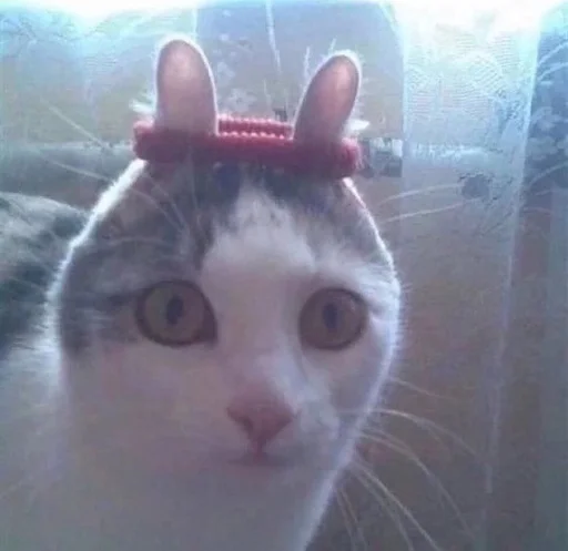 Стикер Беккерель - 5