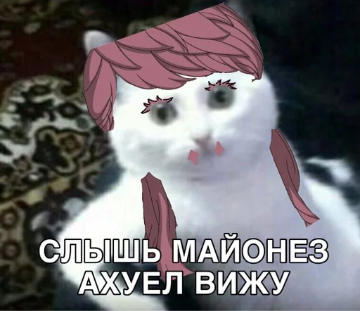 text mammal illustration