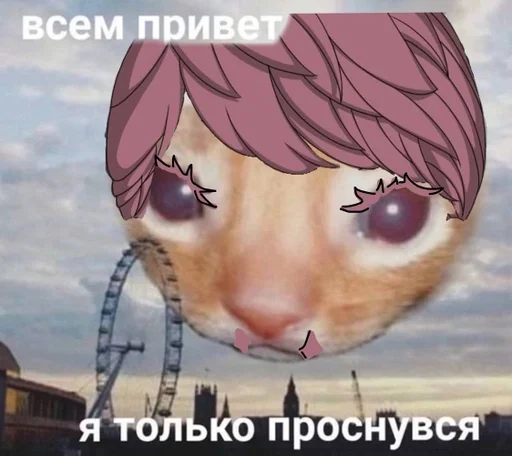 санзик :: @fStikBot - human face