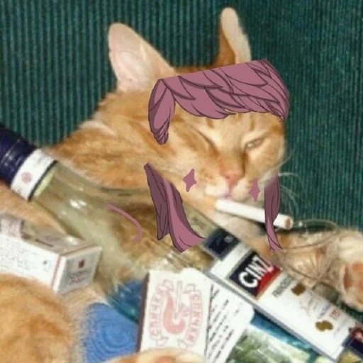 animal bottle mammal