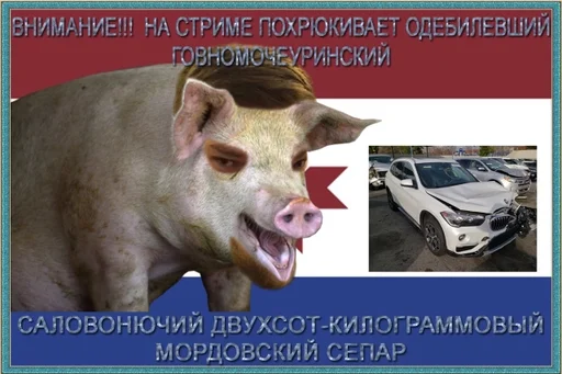 Стикер Саранские мемы 5 🔥 :: @fStikBot - 10