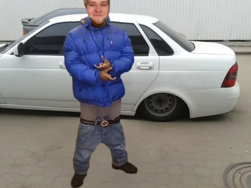 vehicle person land vehicle