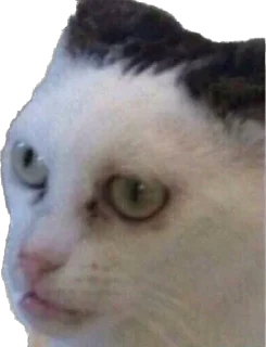 Sticker sart4you - 9