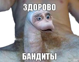 Sticker sart4you - 6