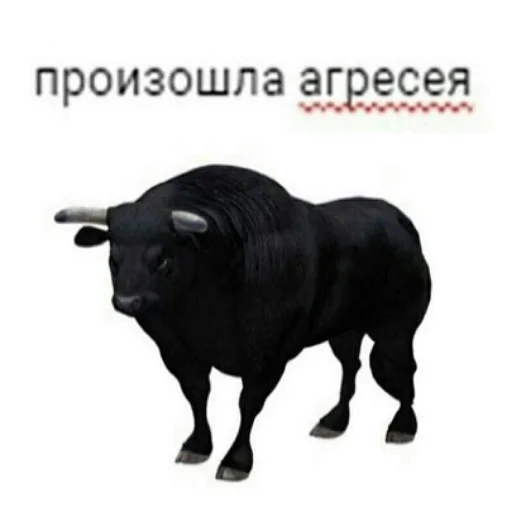 Стикер sasukedays - 1