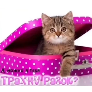 Стикер хуебудни писюка - 4