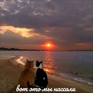 Стикер хуебудни писюка - 1