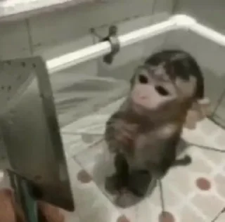 Sticker хейтеры кфс - 8