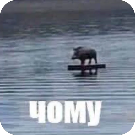 Sticker saves418 - 1