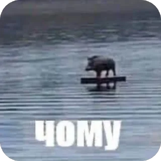 Sticker сохранёнки - 1