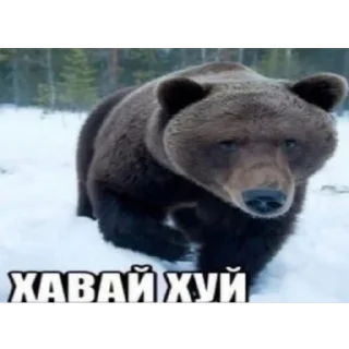 Sticker сохранёнки - 10