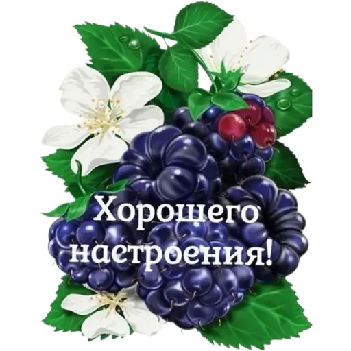 Sticker sbI_ZLaYBv - 2