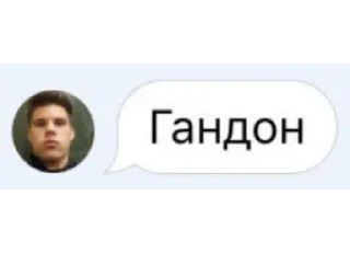 Стикер $bebra$ - 1