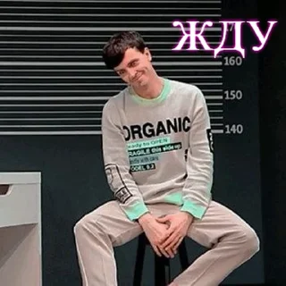 Стикер Пикчи - 2