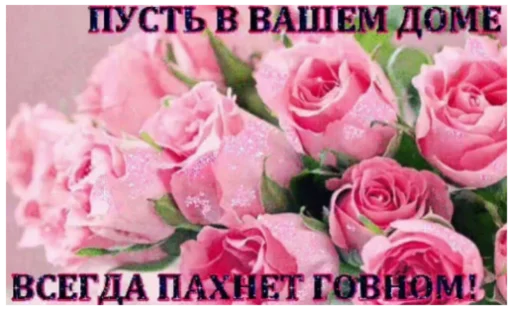 Sticker Сборник memes by @Dmitriy_DF - 2