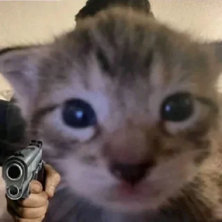 Sticker 🐶 @sozdat_stikery_bot - 9