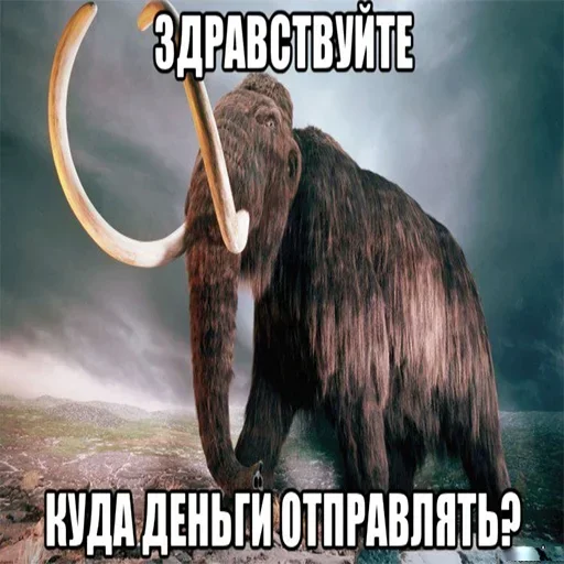 Мамонты @stickerytg - 