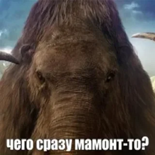 Sticker Мамонты @stickerytg - 1