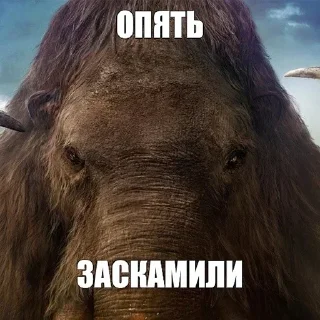 Sticker Мамонты @stickerytg - 6