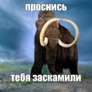 Sticker Мамонты @stickerytg - 11