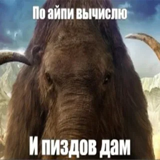 Sticker Мамонты @stickerytg - 9