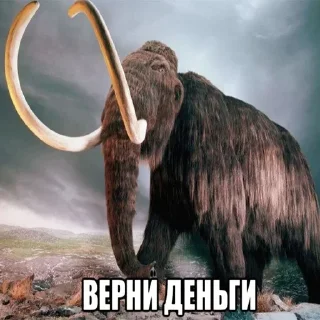 Sticker Мамонты @stickerytg - 7