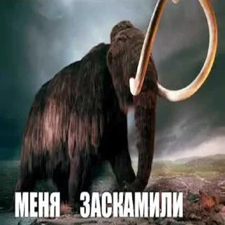 Sticker Мамонты @stickerytg - 0