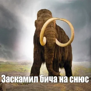 Sticker Мамонты @stickerytg - 3