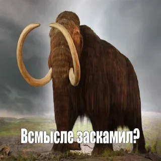 Sticker Мамонты @stickerytg - 8