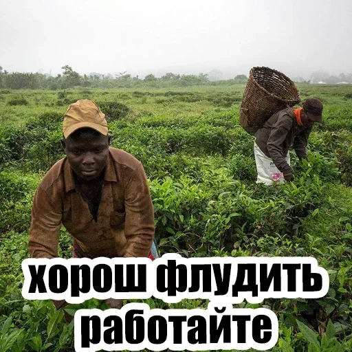 outdoor clothing plant