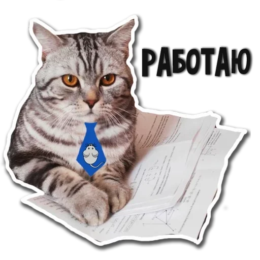 животное кошачьи млекопитающее