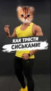 Sticker Муфлон @sozdat_stikery_bot - 2