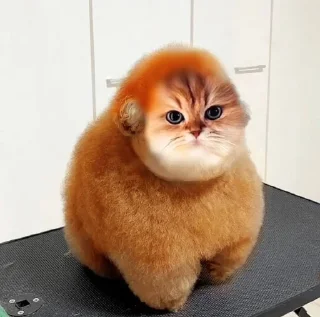 Sticker Муфлон @sozdat_stikery_bot - 9