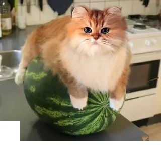 Sticker Муфлон @sozdat_stikery_bot - 4