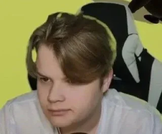 Sticker Куся 2 @sozdat_stikery_bot - 4