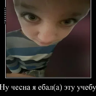 Стикер Шкалата - 6