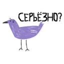 Стикер Schte - 8