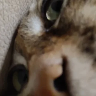 Стикер долбаебы - 4