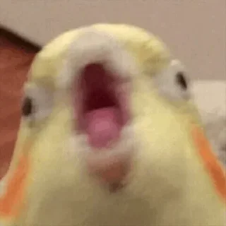 Sticker scrapyard - 3