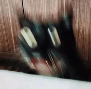 Sticker scrapyard - 6