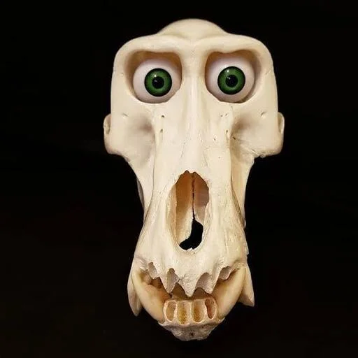 Стикер scullsandshi - 1