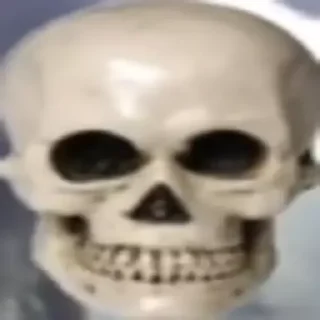 Стикер sculls - 6