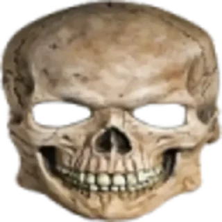 Стикер sculls - 0