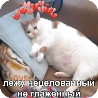 Sticker @stiki_tg_nah_canal - 1